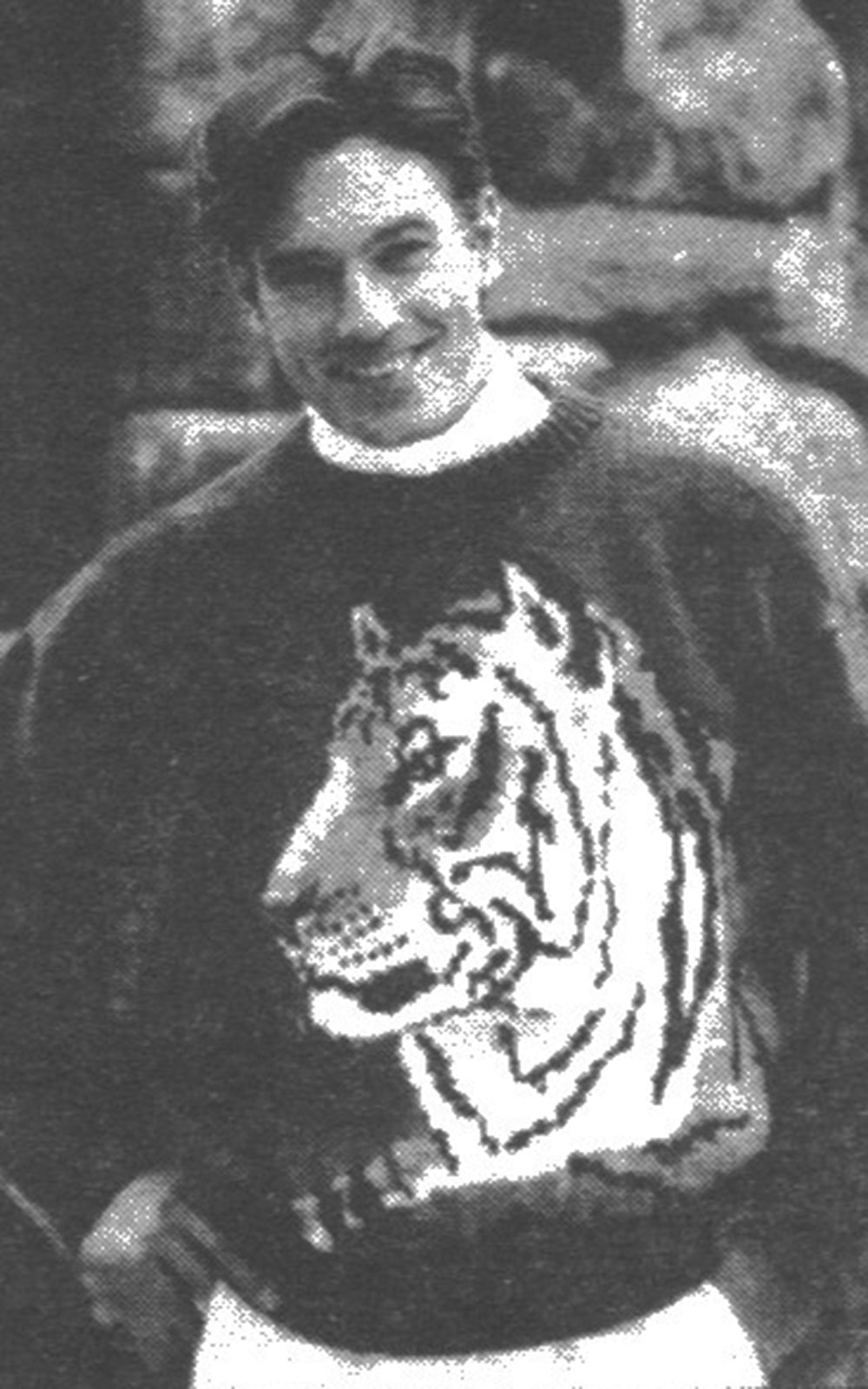 Tiger Pullover Pattern