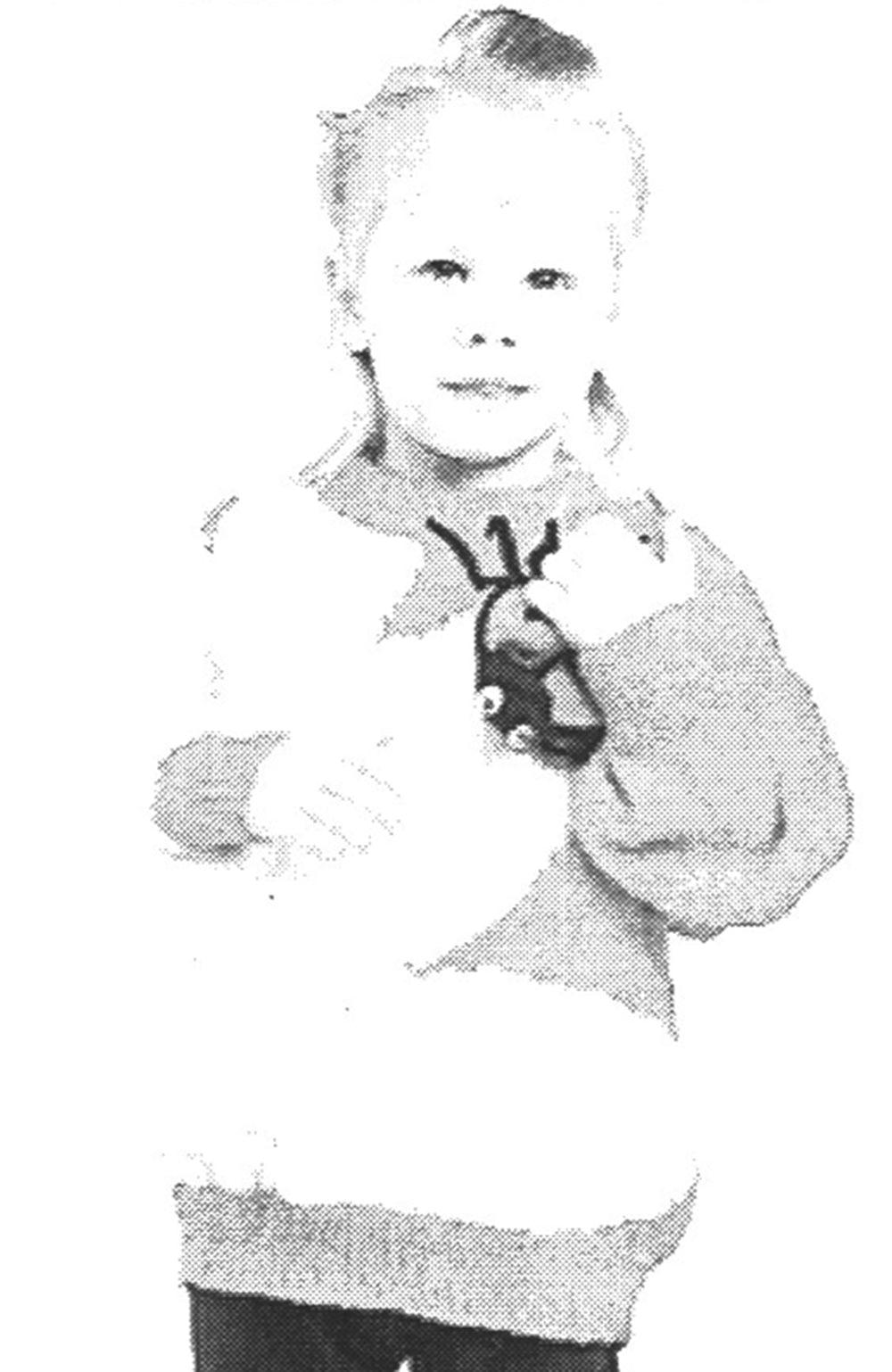 Modèle de pull Lady Bug