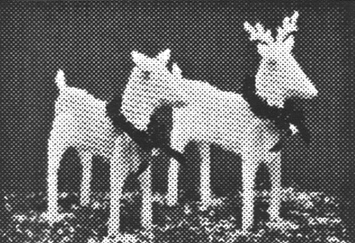 Plastic Canvas - Peaceful Deer Pattern