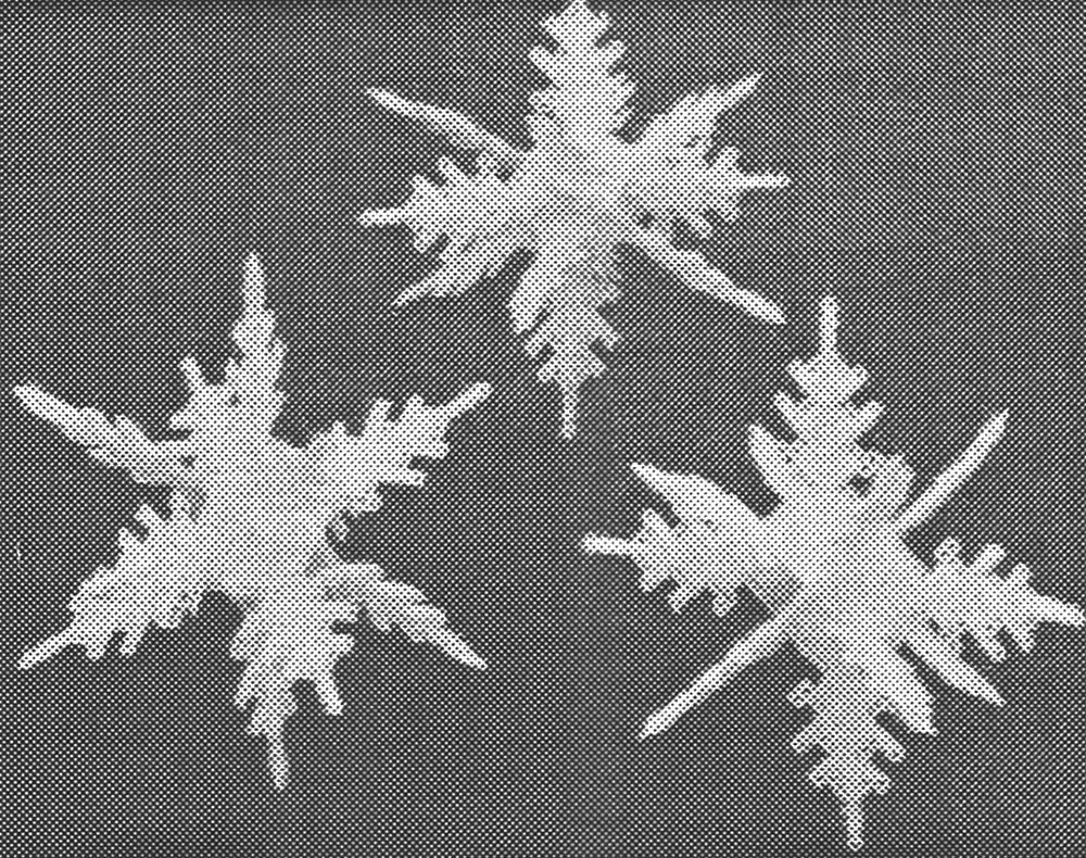Plastic Canvas Snowflake Pattern