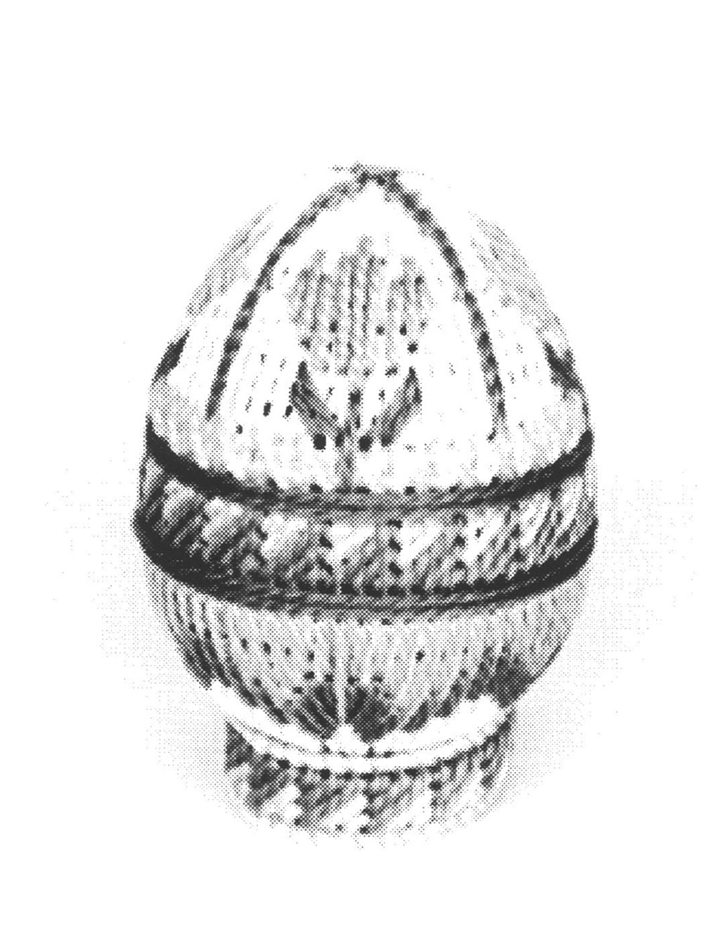 Tulip Easter Egg Pattern